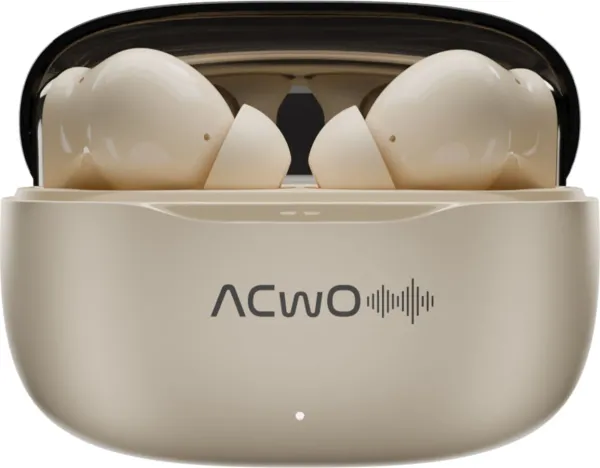 ACWO DwOTS 717 Pro True Wireless Earbuds