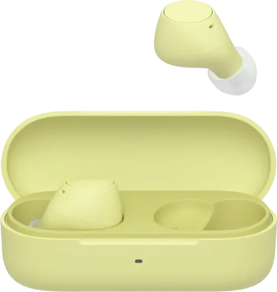 Sony WF-C510 True Wireless Earbuds